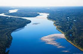 Xingu-folyó I