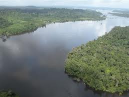  Xingu-folyó V