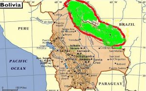 A térképen vörössel szegélyezett zöld terület nagyjából fedi le a hal élőterületét, a barnás csík, ami nincsen beszínezve a Rio Guaporé folyása.