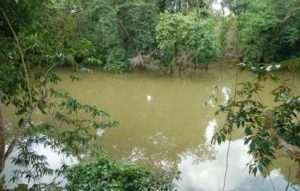 A Kapuas-folyó