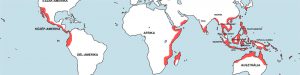 Árgushal - Scatophagus argus elterjedési területe (distribution map)