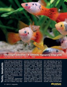 Akvárium Magazin – Főszerkesztő: Pasaréti Gyula