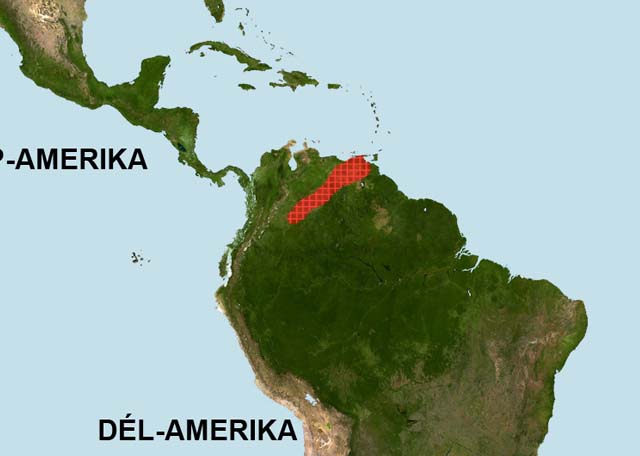 Rózsaszínű páncélosharcsa - Corydoras axelrodi elterjedési területe (distribution map)