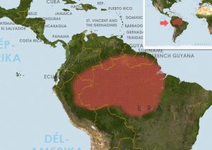 Haraldschultz páncélosharcsája - Corydoras haraldschultzi elterjedési területe (distribution map)