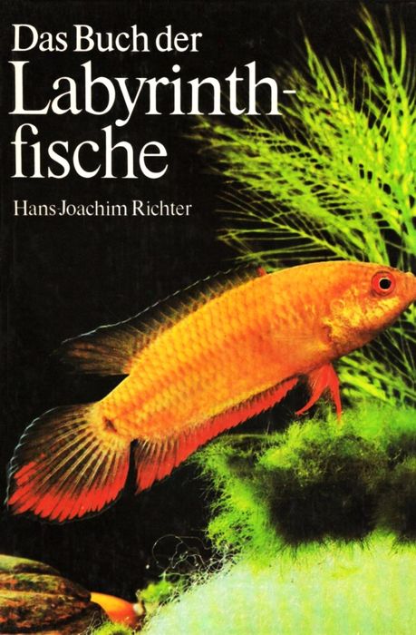 Das Buch der Labyrintfische – Hans-Joachim Richter