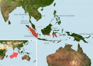 Betta simorum - Zöld harcoshal elterjedési területe (Map)