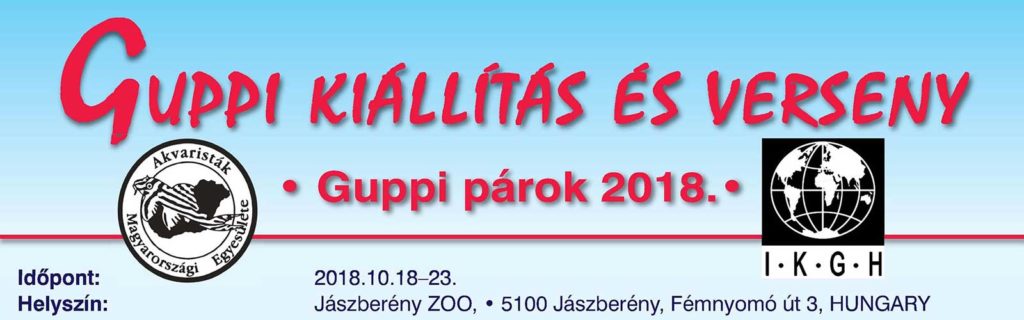 Guppi kiállítás és verseny - Jászberény 2018 fejkép
