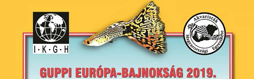 Guppi Európa Bajnokság 2019 – Pilis